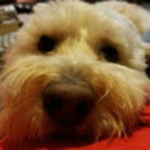 Meet your Posher, Joe